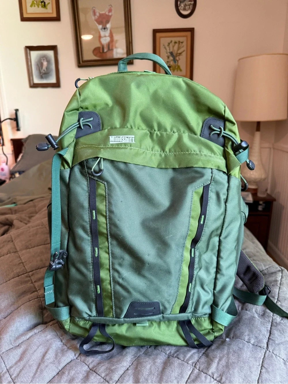 ThinkTank MindShift Backlight26L Camera Gearbag photography